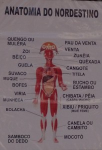 Portuguese isnt even the same across Brazil---"Anatomy of a Northeasterner" pokes fun at the Northeastern vocabulary and pronunciation